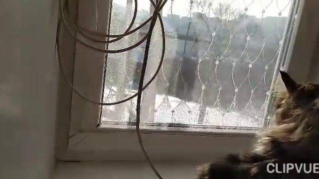 Готовлю навагу и пеку хлеб. смотреть онлайн