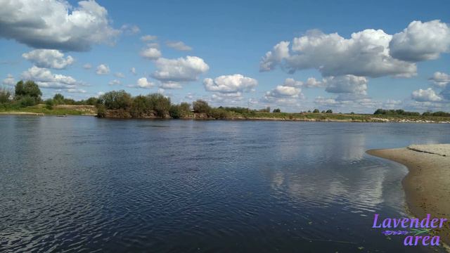 На берегу реки Припять в жаркий полдень летом 2019 года. Рыбалка на разливах Припяти. смотреть онлайн