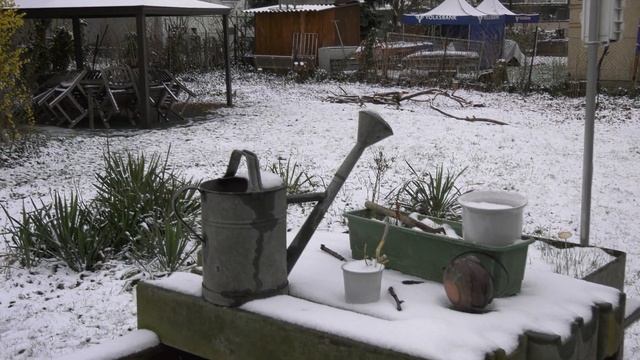 HC X1 im Garten am 26 März 2020 Schnee смотреть онлайн