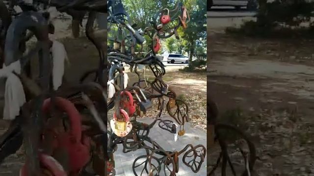 Г. Волжский Т.Ц. Плането Лето. Дерево влюбленных. смотреть онлайн