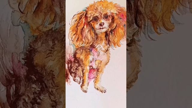 #anime #watercolorpainting #dog #animals #painting #art #artwork #pets #poodle #toypoodle #dogs смотреть онлайн