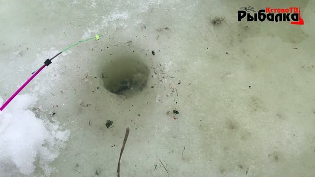 ЖИРНЫЕ КАРАСИ НЕ ЛЕЗУТ В ЛУНКУ!последний лёд самый опасный и самый удачный по рыбалке. смотреть онлайн