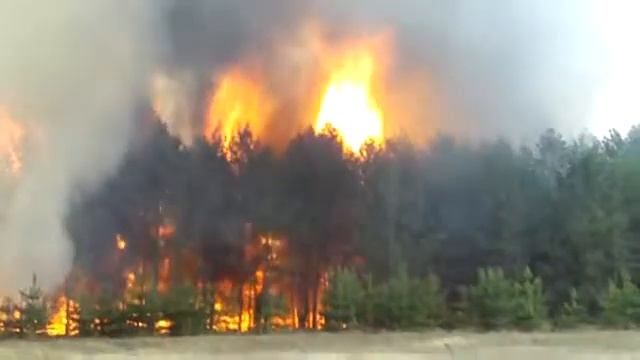 Лесной пожар в Самарской области часть1 YouTube смотреть онлайн