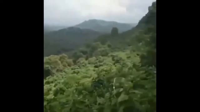 Me when i react to rule 34 (fake) смотреть онлайн