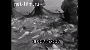 (Промысел осетровой рыбы в СССР)?