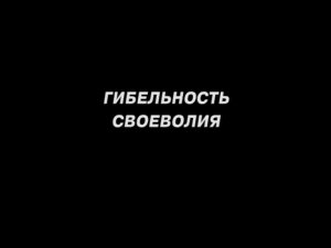 Гибельность своеволия