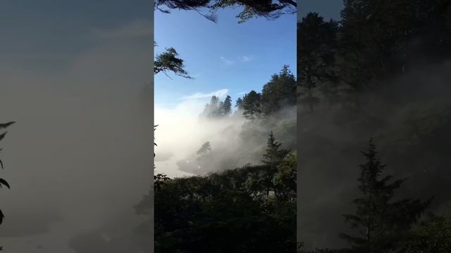 Плюсы жизни в Сиэтле #сша #америка #жизньвсша #американцы #нашивамерике #сиэтл #плюсыамерики смотреть онлайн