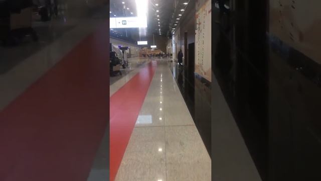 аэропорт, летим в Нидерланды получить политическое убежище, декабрь 2021 смотреть онлайн