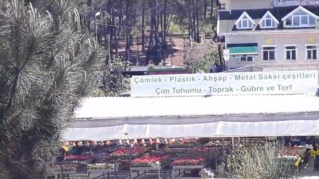 Что разрешено с первого июня по первое июля 2021 года в Турции.