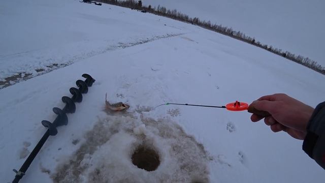 ОЗЕРО В ТУНДРЕ ГДЕ ЖИВУТ ГОРБАЧИ.КАКИЕ ЖЕ ПОКЛЕВКИ У НИХ МОЩНЫЕ .ЗИМНЯЯ РЫБАЛКА НА МОРМЫШКУ. смотреть онлайн