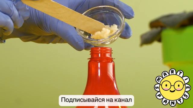 Лайфхаки для домашних растений смотреть онлайн