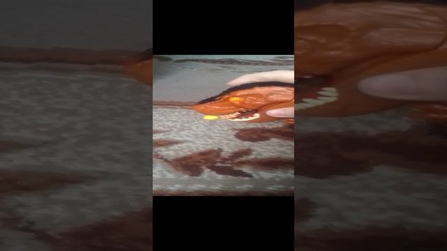 анимация 2 часть смотреть онлайн
