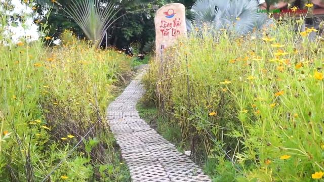 Camera Sony Alpha A6000 + Ống kính Macro F3.5 E30mm | LKCN смотреть онлайн