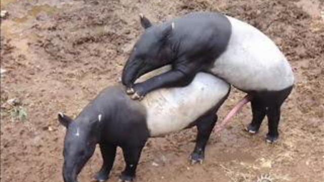 Satisfy Your Appetency.flv