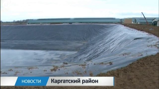 Превратить отходы в доходы. В Каргатском районе навоз перерабатывают в экологически чистое удобрени