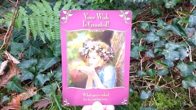 Daily Oracle Card Reading 11th December Your wish is Granted Fairy Tarot смотреть онлайн