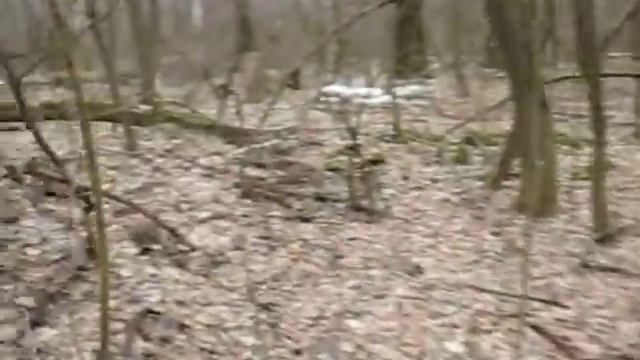 Окопы вблизи Паруса смотреть онлайн