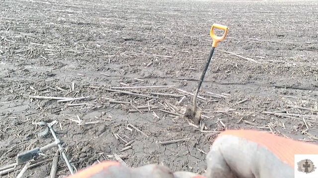 дед хабар не обижает!голопом по "европе" коп2023#metaldetecting #поиск #находки #minelab #коп#шурф смотреть онлайн