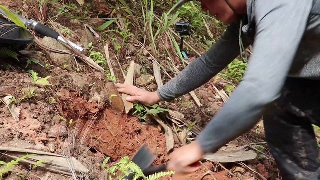 Treasure hunt metal detector unearths chunks of gold in tycoon island смотреть онлайн