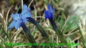 Приходит время, люди голову теряют