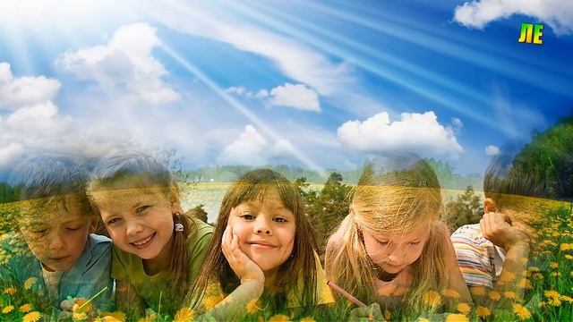 Разноцветное лето