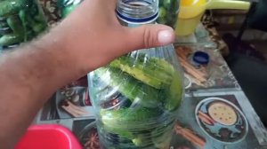 Огурцы в пяти литровых бутылках.