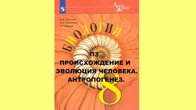 П3 ПРОИСХОЖДЕНИЕ И ЭВОЛЮЦИЯ ЧЕЛОВЕКА. АНТРОПОГЕНЕЗ. БИОЛОГИЯ 8 КЛАСС, АУДИОУЧЕБНИК смотреть онлайн