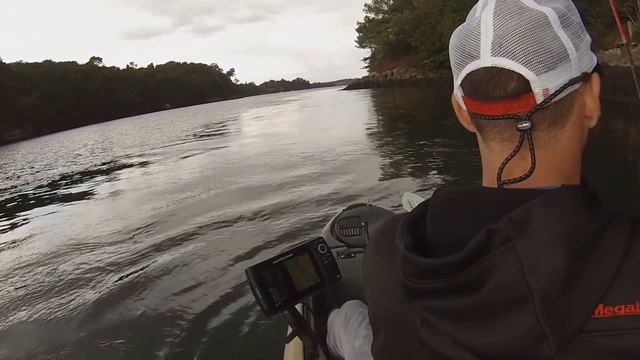 Pêche du bar au crankbait en kayak смотреть онлайн