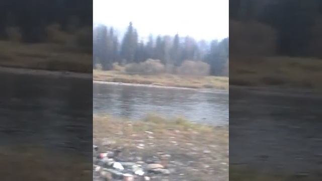 Рыбалка Сухой-Пит ловим Ленка)))) ч.3 смотреть онлайн