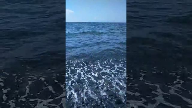 Шум волн, шелест гальки смотреть онлайн