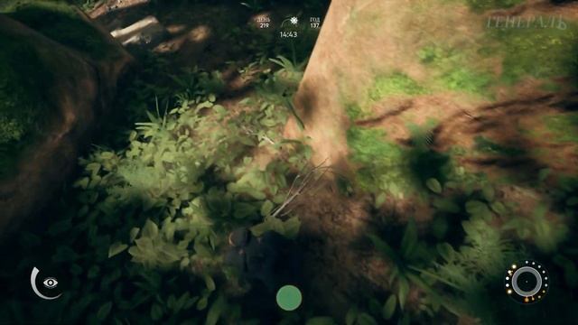 Проект Великой Обезьяньей Стены! Ancestors: The Humankind Odyssey #20 смотреть онлайн