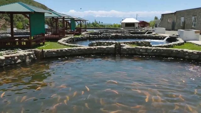 Зона отдыха на Иссык куле (отдых в горах на свежем воздухе) Кыргызстан смотреть онлайн