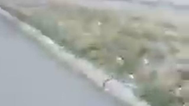 Я бижу за тобой братан Фраза смотреть онлайн