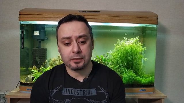 Еще немного о питании аквариумных растений смотреть онлайн