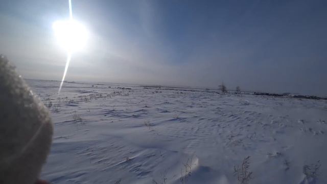 Охота на зайца, КРАСИВЫЙ ВЫХОД ЗАЙЦА. Сезон 2021-2022 №128. смотреть онлайн