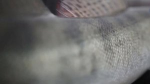 Ловля судака троллингом на воблеры: поиск, снасть и подача