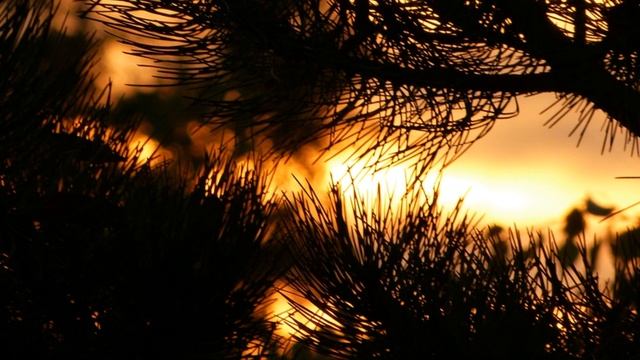 Testfotos u Video Panasonic Lumix FZ150 (https://www.facebook.com/S.c.GollerPhotography) смотреть онлайн