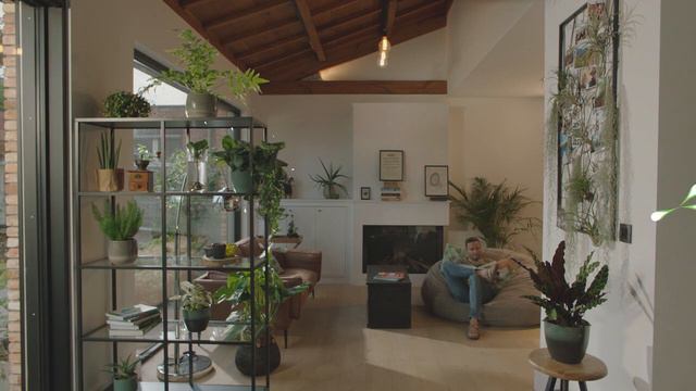 Transformer votre salon en jungle urbaine ? En avant ! смотреть онлайн