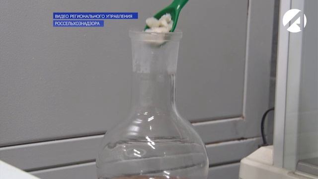 За качеством и безопасностью пищевой продукции следят инспекторы смотреть онлайн