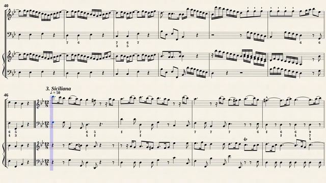Telemann, G. P._Trio Sonata No.8 In B-Dur TWV 42:B4 [Rec, Viol, Hch]