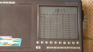 Обзор приемника Деген DE 1103