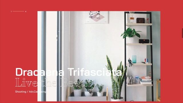 [TEASER] Smooth Scroll, Scroll Trigger and Reveal Effect with Locomotive Scroll, GSAP & React смотреть онлайн