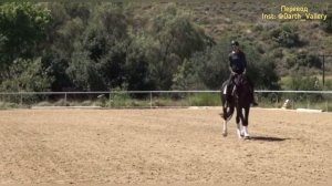 Строевая рысь. Правильно vs неправильно