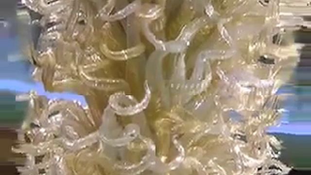 Chihuly Glass, music by Wayne Frink & Kevin Bishop смотреть онлайн