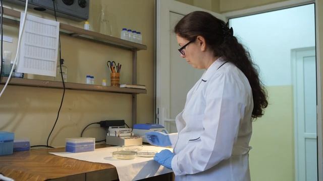 1 место Деятельность лабораторий отдела селекции и семеноводства пшеницы и тритикале.mp4 смотреть онлайн