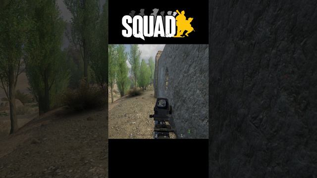 SQUAD СКВАД #shorts смотреть онлайн