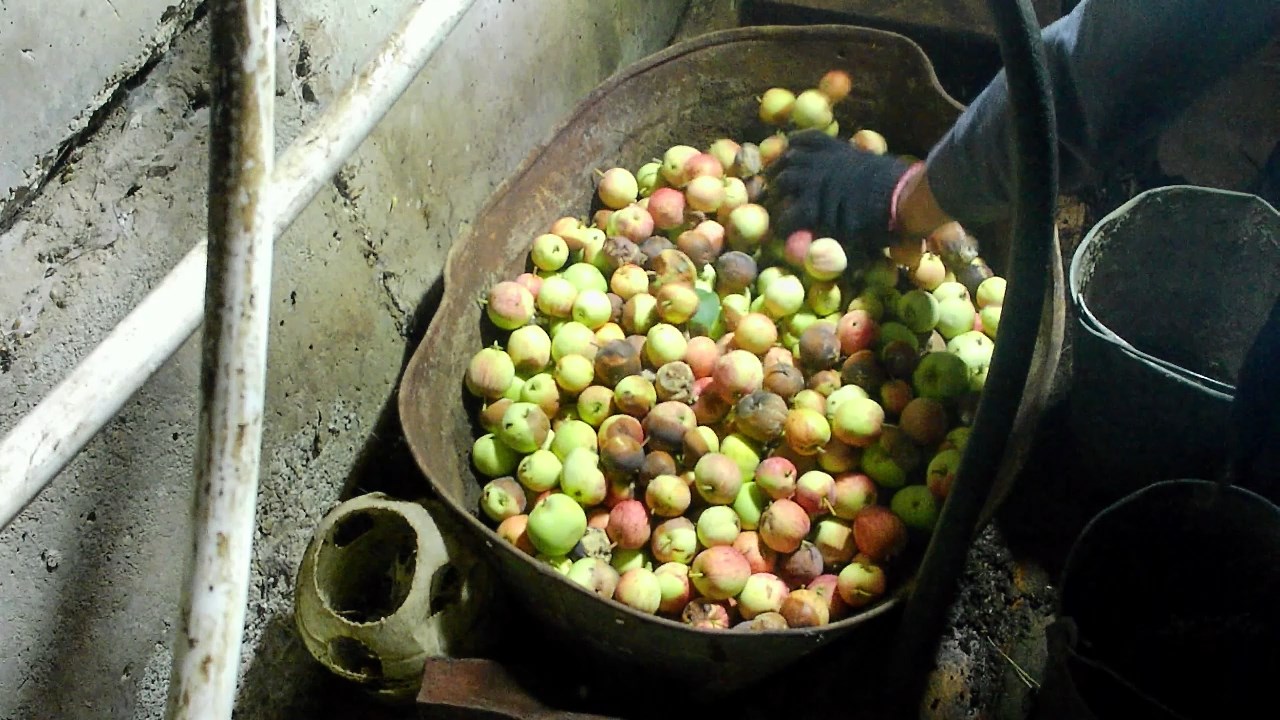 Разведение червей в домашних условиях. Низовое кормление червей в ящике(корыте) смотреть онлайн