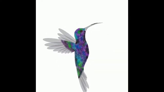 Hummingbird Fuchsias смотреть онлайн