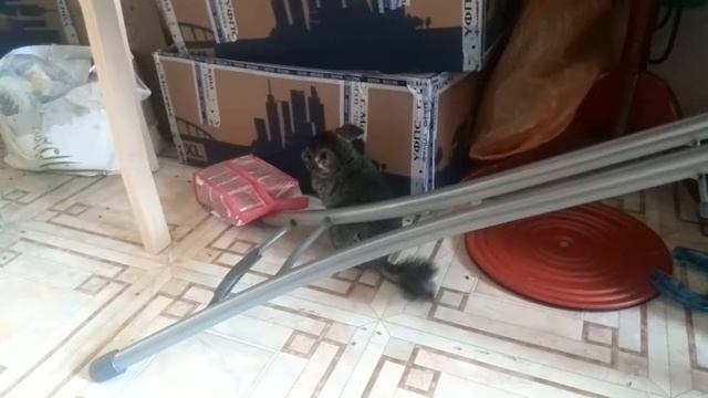 Прогулка и еда смотреть онлайн