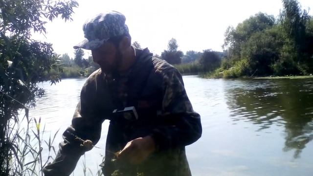 Рыбалка на Озере Кривое. Донка VS Убийца карася. смотреть онлайн